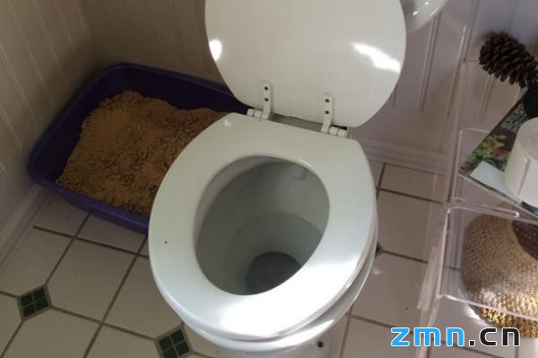 马桶不存水一直流水是哪里坏了