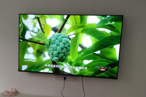 电视遥控打不开电视怎么办